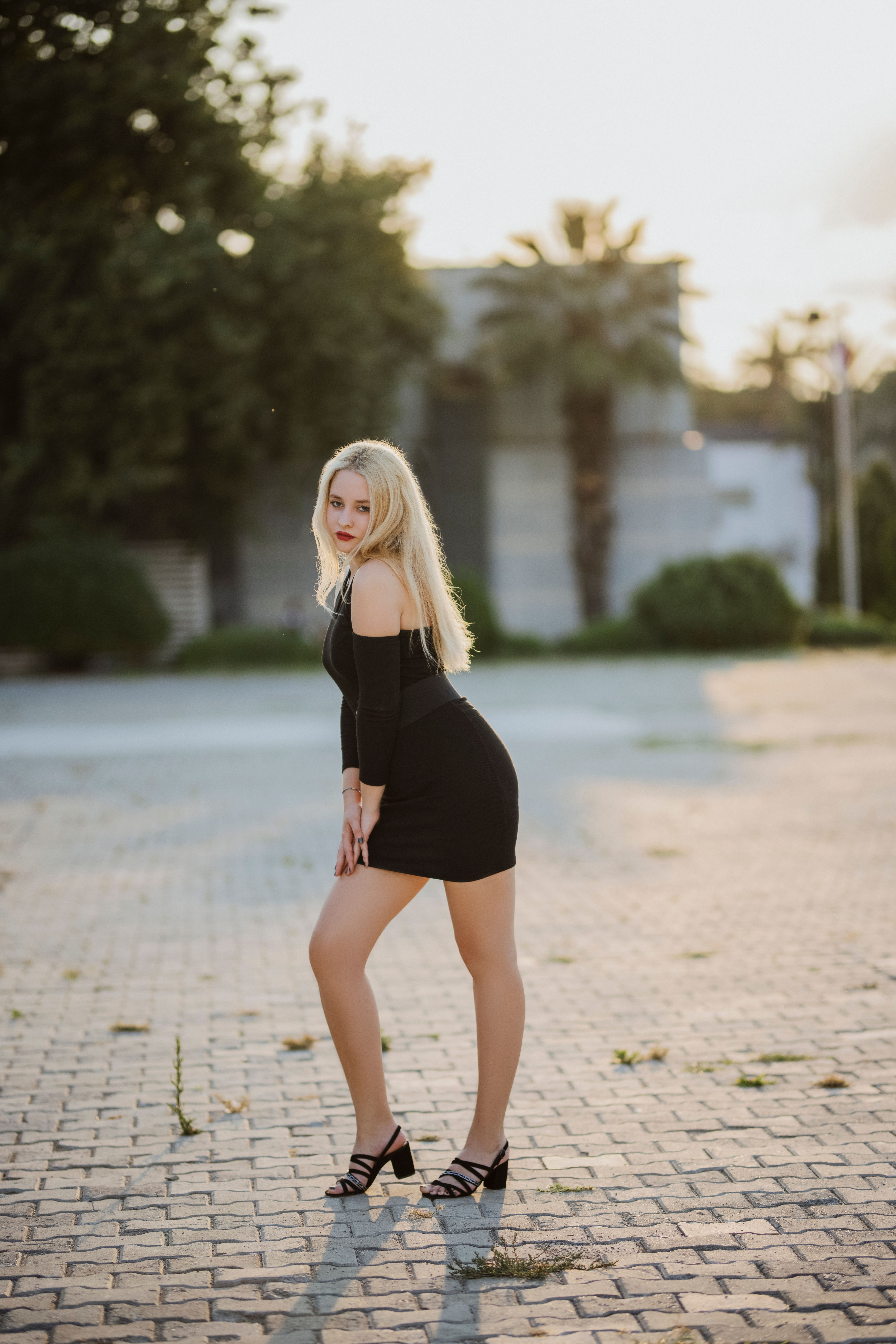 Portrait of a Woman Posing in a Black Dress · Free Stock Photo
