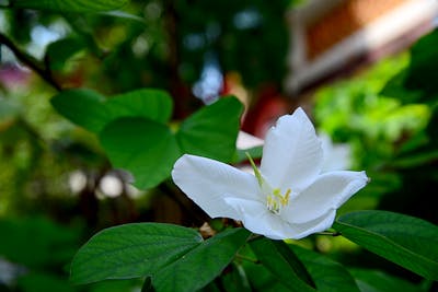 名言大全小学生 名言名语小学生