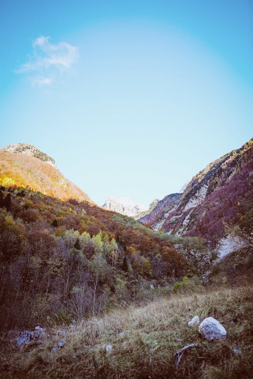 Foto profissional grátis de colinas, grama, montanhas