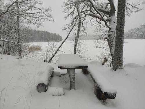 Kostnadsfri bild av bord och bänkar, mulet vinterväder, natur