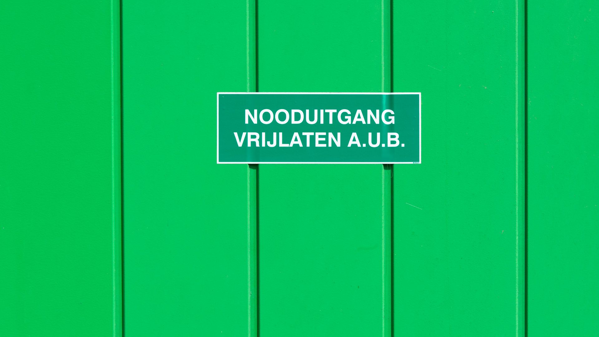 Modafinil Heart Palpitations Warning: Expert Insights A green metal wall featuring an emergency exit sign in Dutch. Perfect for safety-themed graphics — modafinil heart palpitations warning