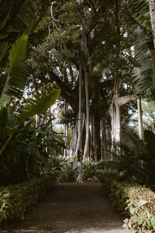 Woman in a Tropical Park