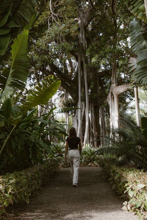 Woman Walking in a Tropical Garden