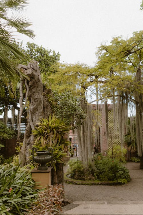 Outside View of a Tropical Resort