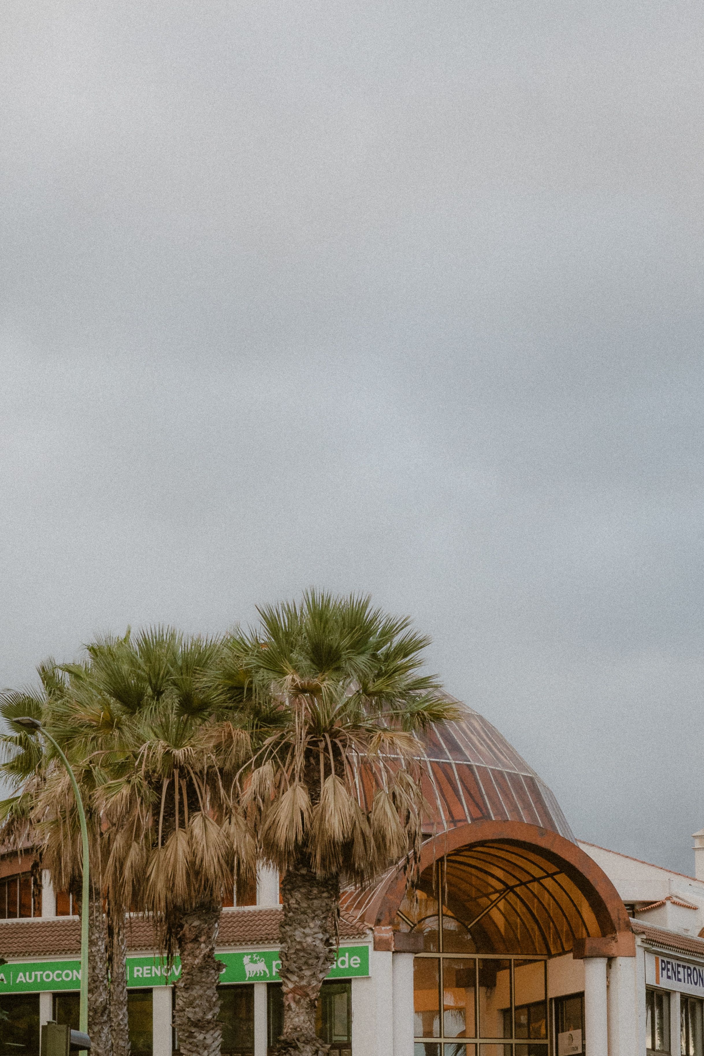 A modern building with palm trees under a cloudy sky, creating a tropical ambiance.