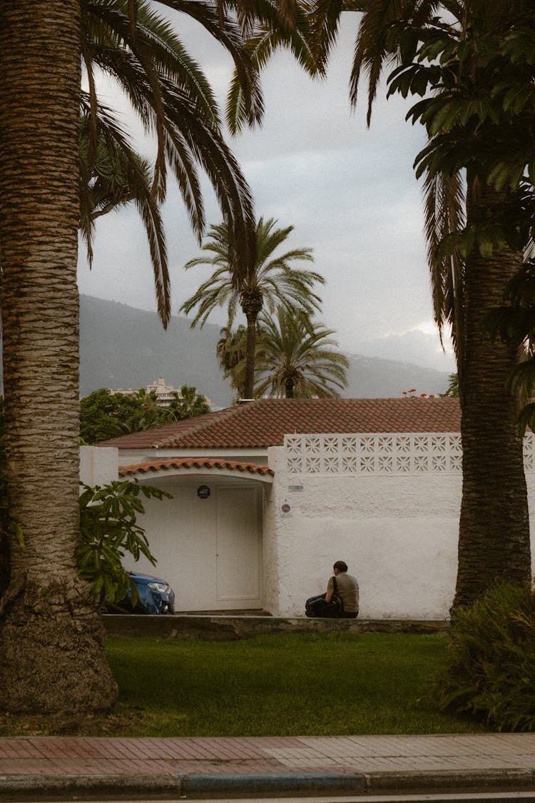 House Building Among Palms 