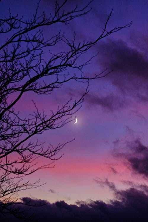 ay, gökyüzü içeren Ücretsiz stok fotoğraf