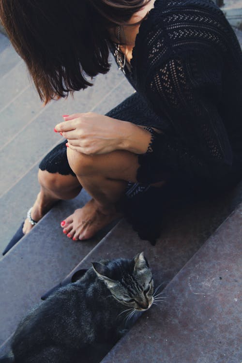 Fotos de stock gratuitas de descalzo, gato, mujer