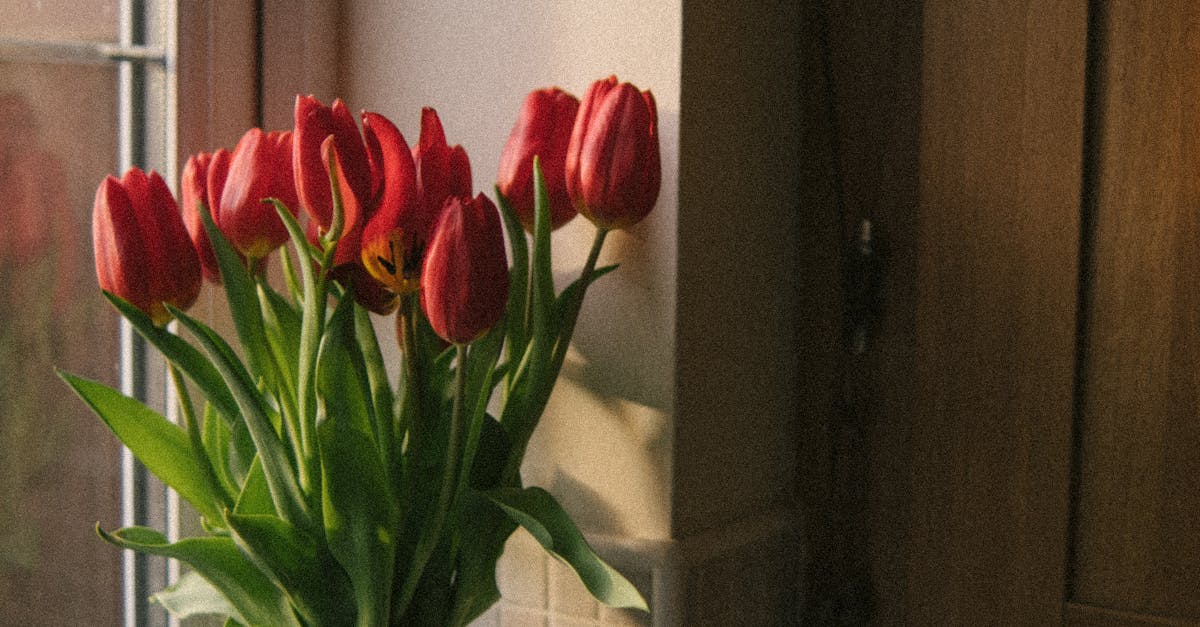 The Beauty of Kentucky