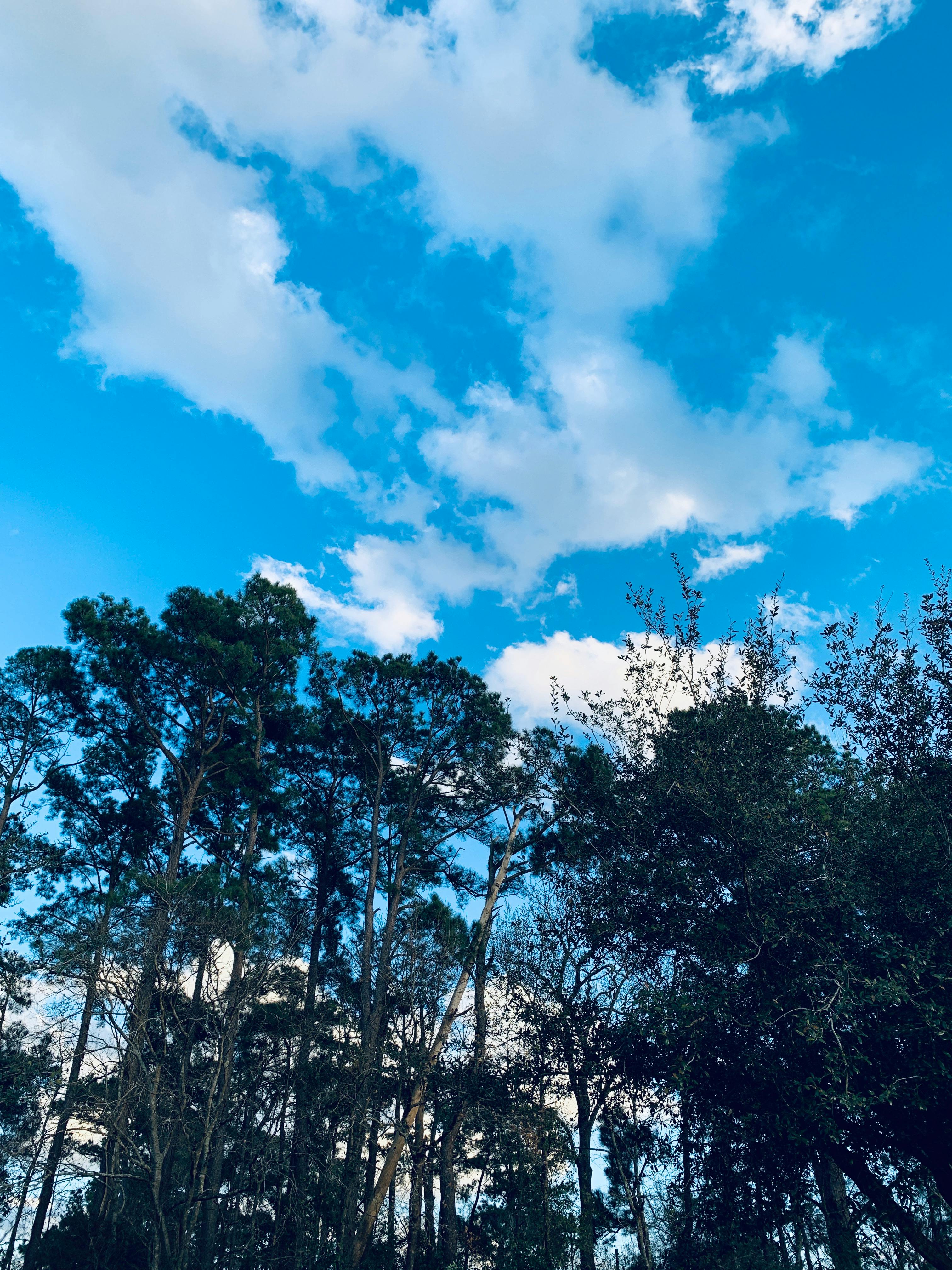 2000 Wallpaper Biru Langit Keren HD Gratis 2000 Wallpaper Biru Langit Keren HD Gratis