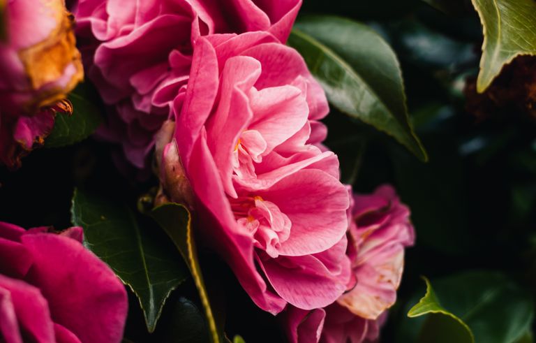 Online dating: starting a conversation on a niche platform