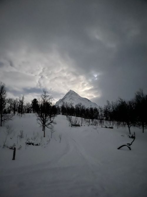 Free Tromsø camp tamok Stock Photo