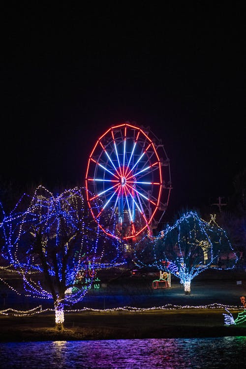 Základová fotografie zdarma na téma atrakce, dekorace, noc