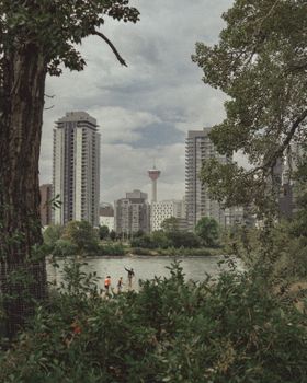Calgary cityscape featuring lush greenery, urban buildings, and the iconic Calgary Tower.