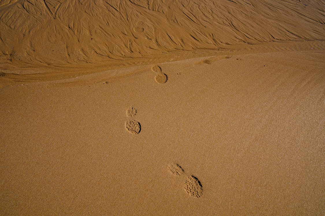 Základová fotografie zdarma na téma duna, léto, písek