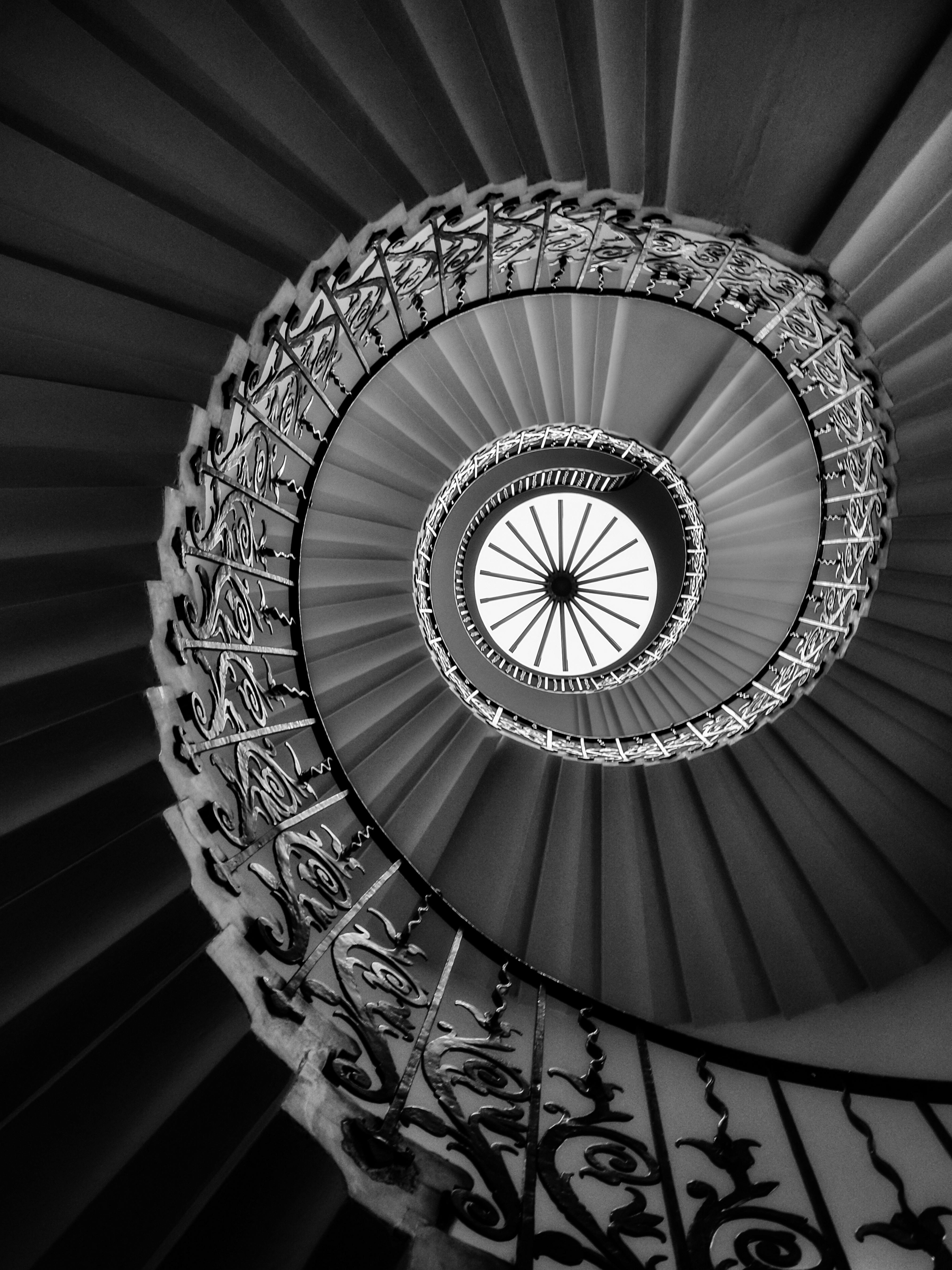 Fibonacci Spiral Photos, Download The BEST Free Fibonacci Spiral Stock ...