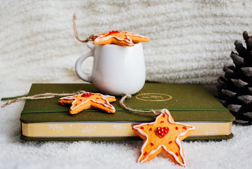 Fotobanka s bezplatnými fotkami na tému celebrita, cookies, kniha