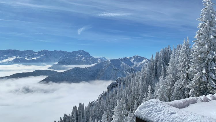 Panoramic View Of Snowcapped Mountains And Trees 