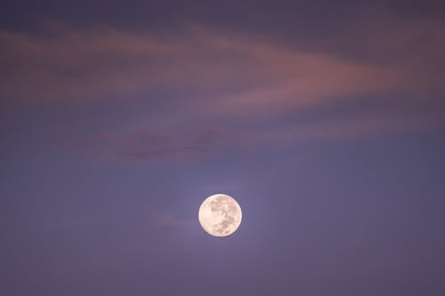 Gratis lagerfoto af fuldmåne, himmel, måne