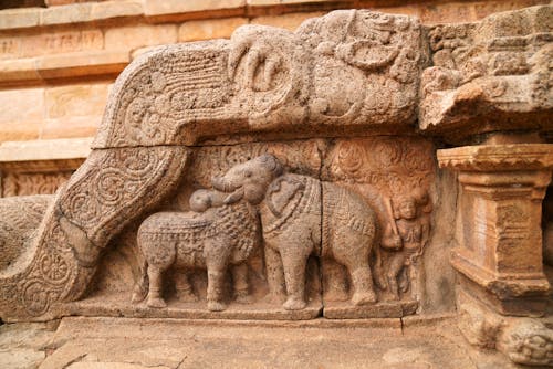 Kostnadsfri bild av airavatesvara tempel, andlighet, bas relief