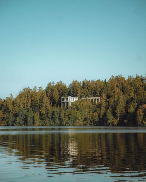 Forest and Building by Lake