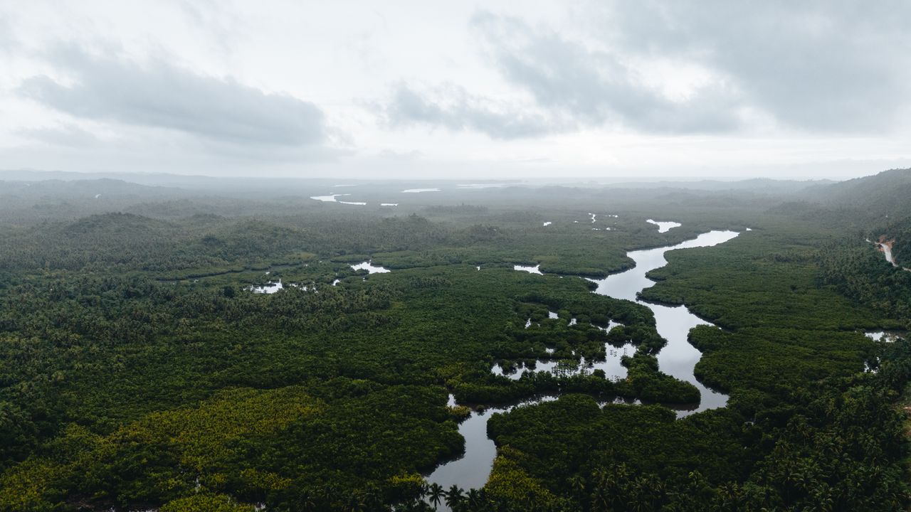 Biodiversity and Tidal Dynamics of Guinea-Bissau's Bijagós Archipelago