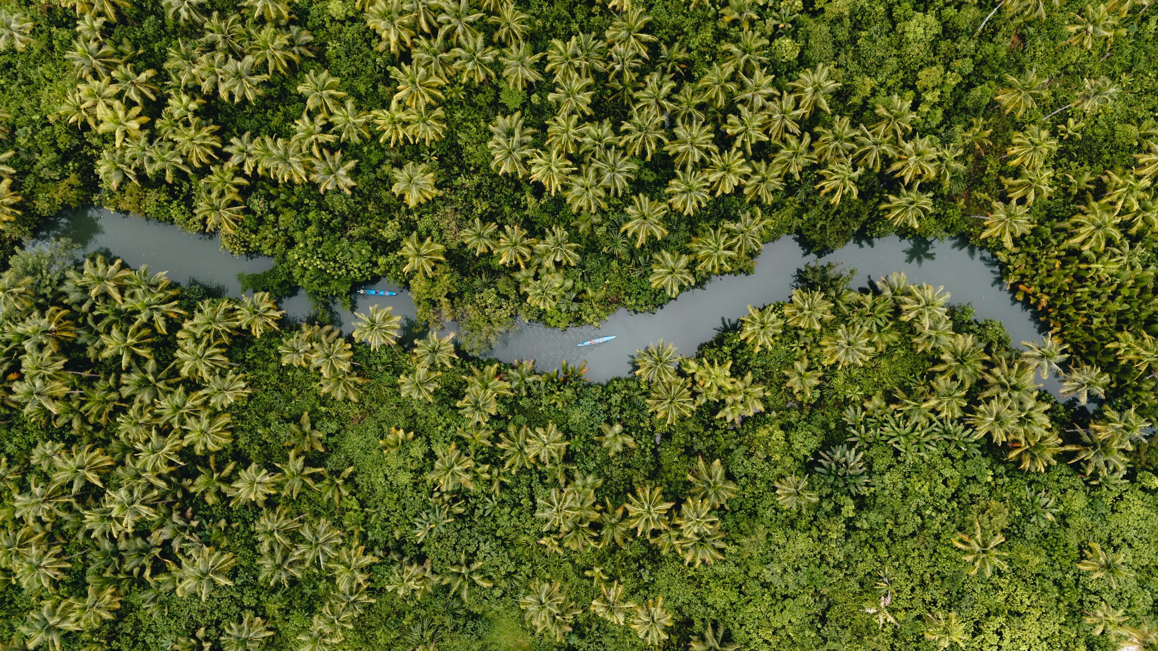 corporate governance esg esg what is governance — Photo by Lukas  Faust on Pexels