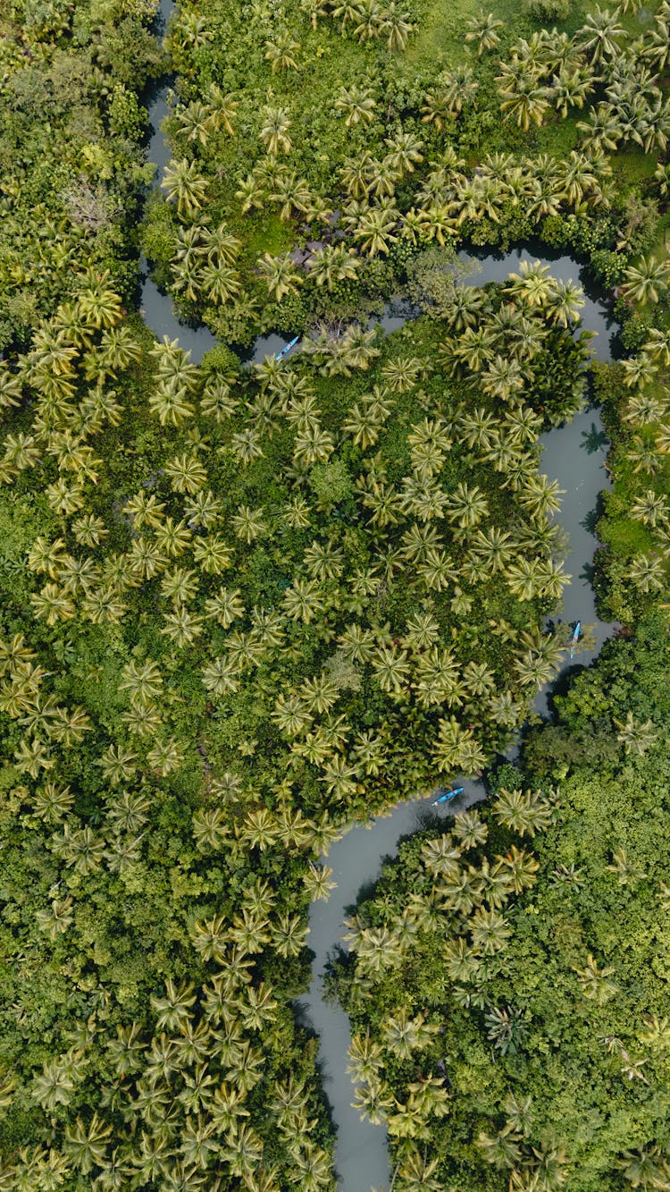 Aerial View Of A River 