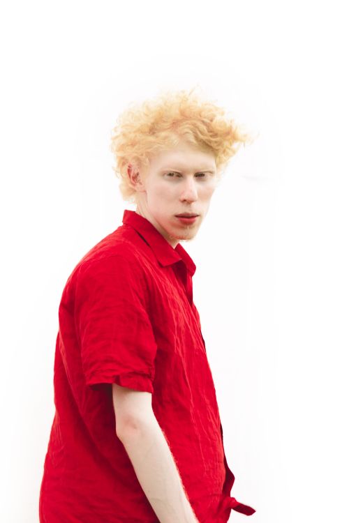 Free Striking portrait of a man with curly hair, wearing a red shirt, in a bright setting. Stock Photo