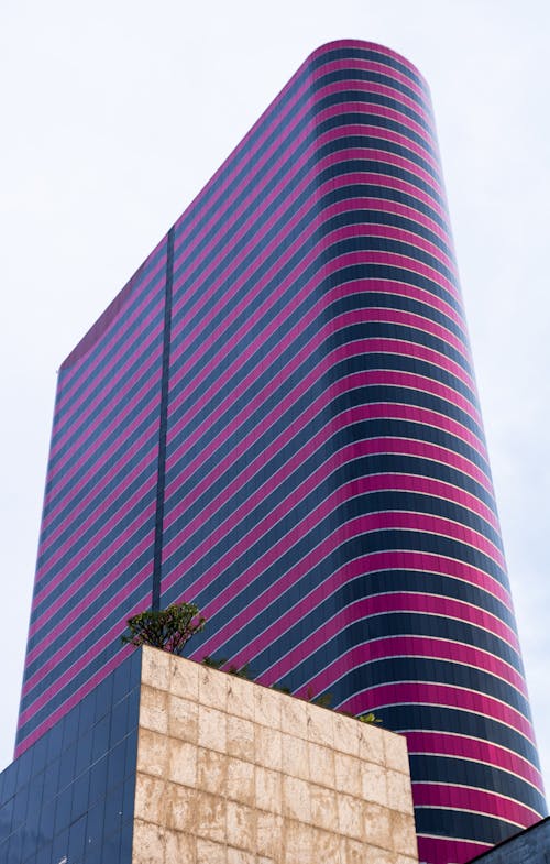 Photo of High-Rise Building