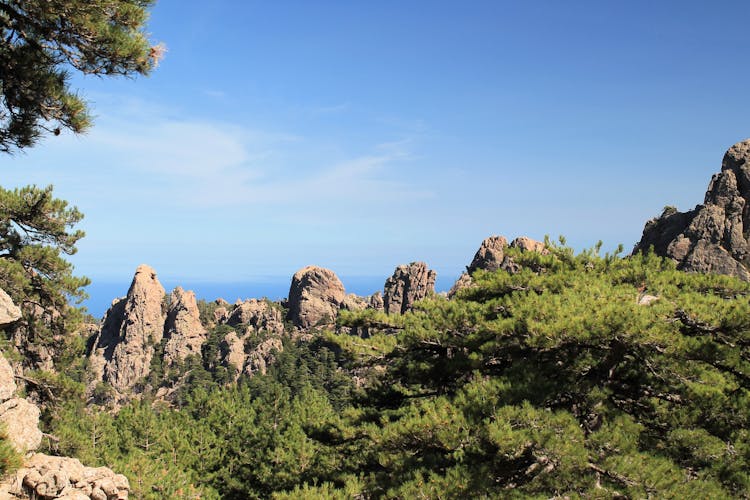 Scenic Rock Formations In The Mountains And Pine Trees 