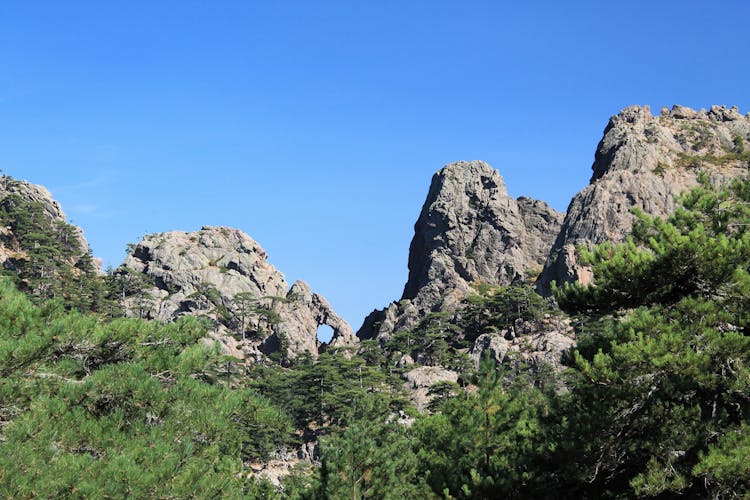 Rock Formations And Trees In The Mountains 