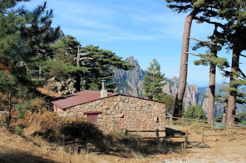 Cottage among Trees in the Mountains 