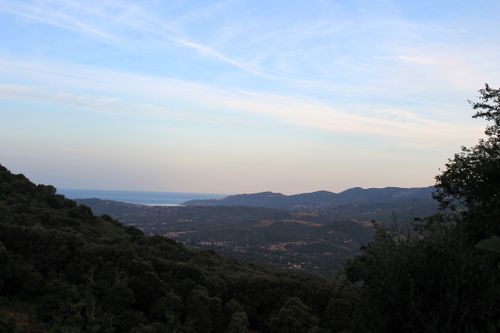 Free Stunning view of a vast countryside landscape with hills and trees at dusk. Stock Photo