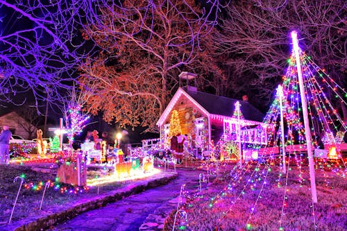 公園, 圣诞节背景, 堪萨斯 的 免费素材图片