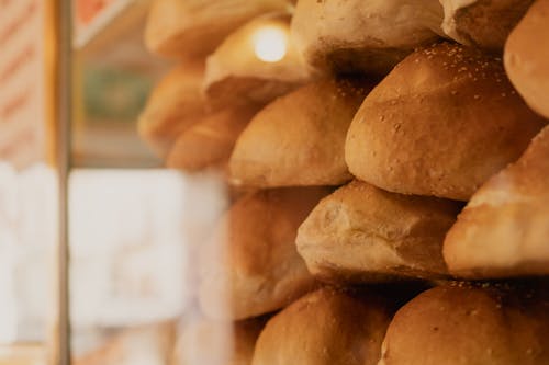 베이커리, 빵, 셀렉션의 무료 스톡 사진