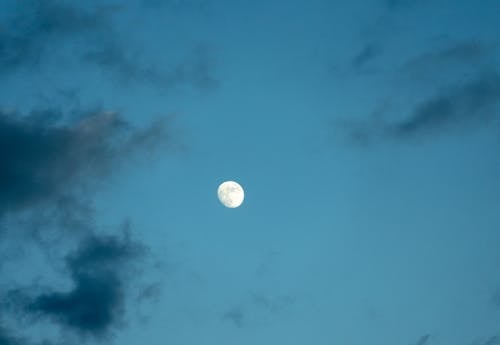 Free stock photo of blue hour, evening, full moon