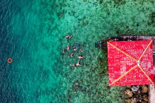 Foto Aérea De Personas En Un Cuerpo De Agua