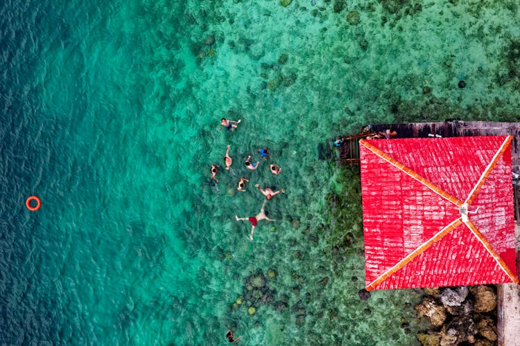 Aerial Photo Of People On Body Of Water