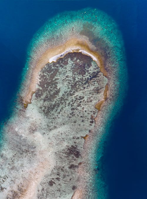 Aerial Photography of Island