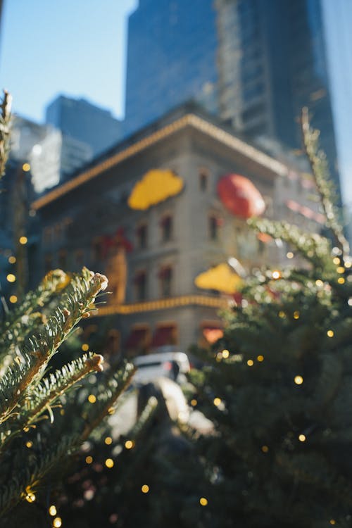Close-up of Christmas Trees in the City 