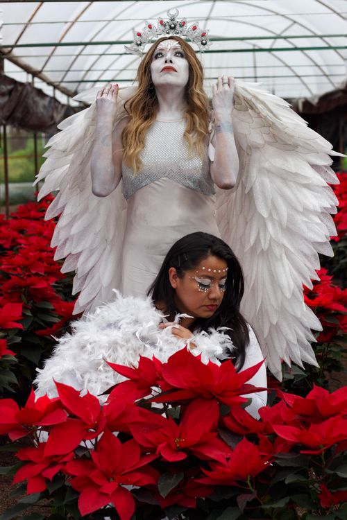 Free Two women in artistic angel costumes surrounded by red poinsettias, combining nature and fantasy. Stock Photo