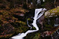 宁静的森林中，瀑布流过青苔覆盖的岩石，四周环绕着郁郁葱葱的植被