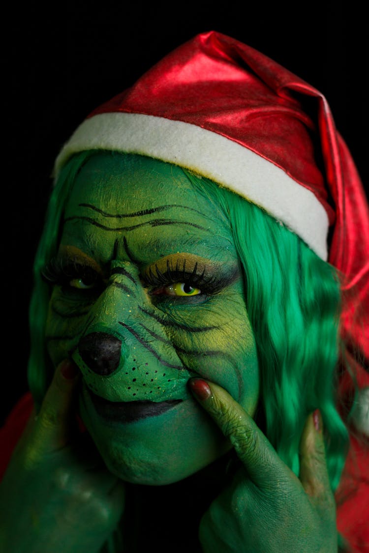 Portrait Of Grinch In Santa Hat