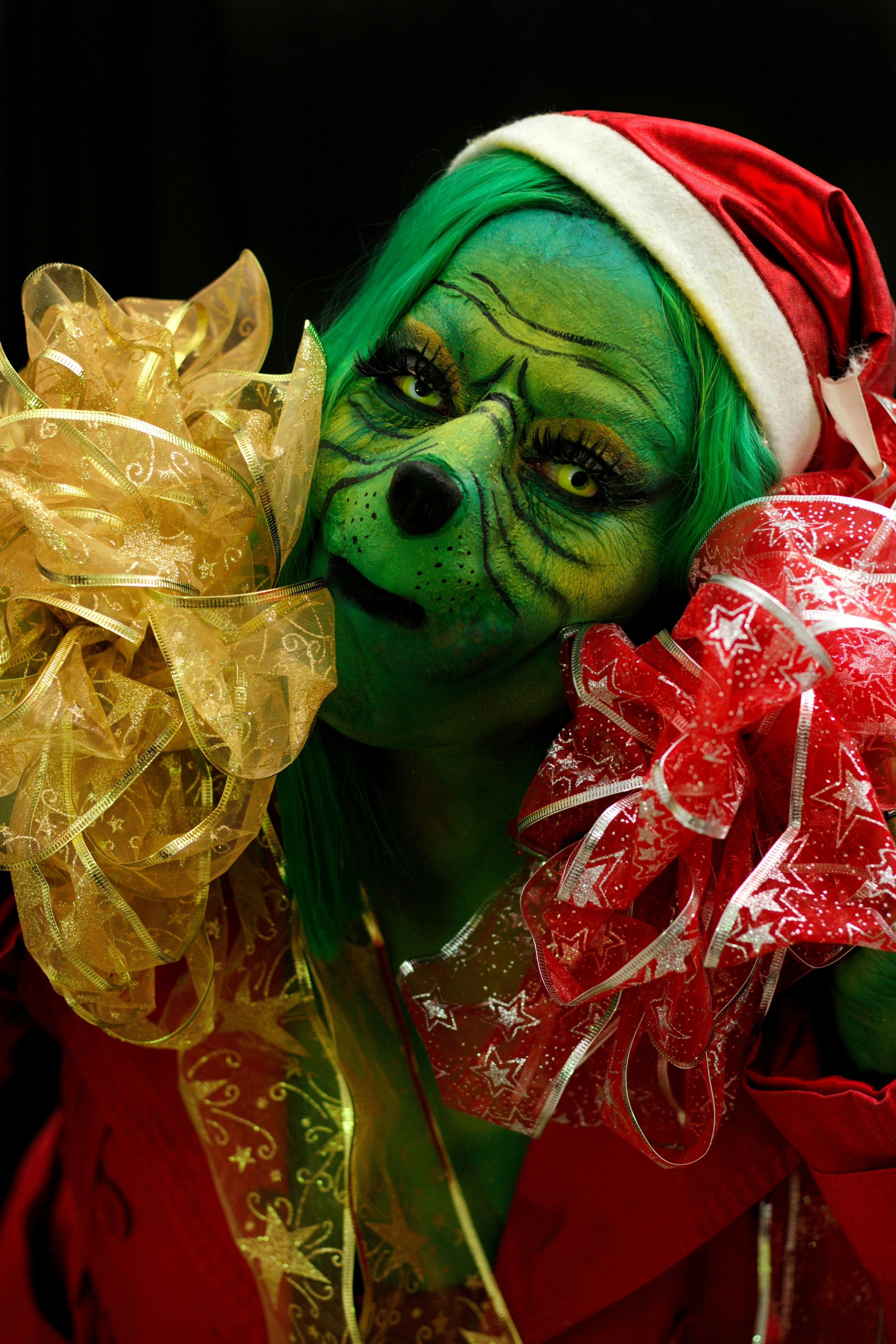 266 Grinch Costume Stock Photos, High-Res Pictures, and Images - Getty  Images