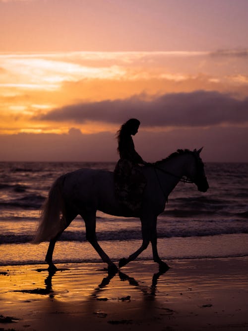 Woman Riding a Horse Along the Beach