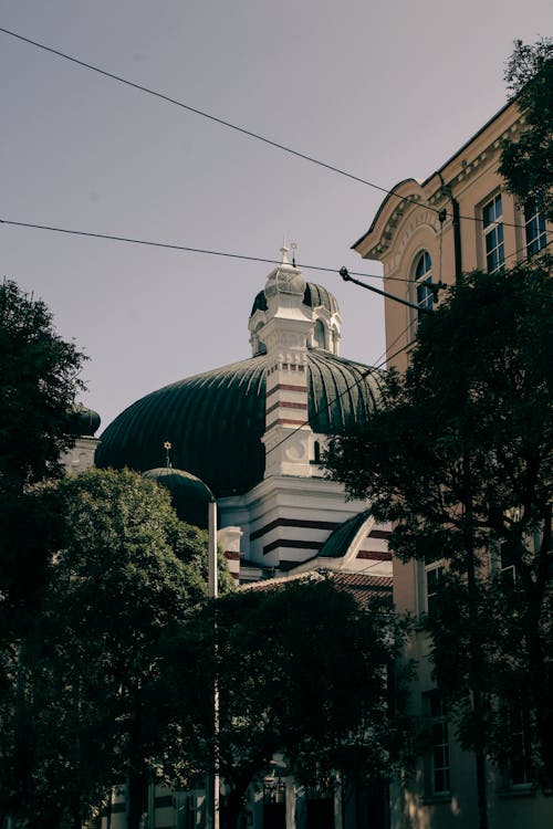 Free Capture of the Sofia Synagogue dome framed by trees and urban architecture. Stock Photo