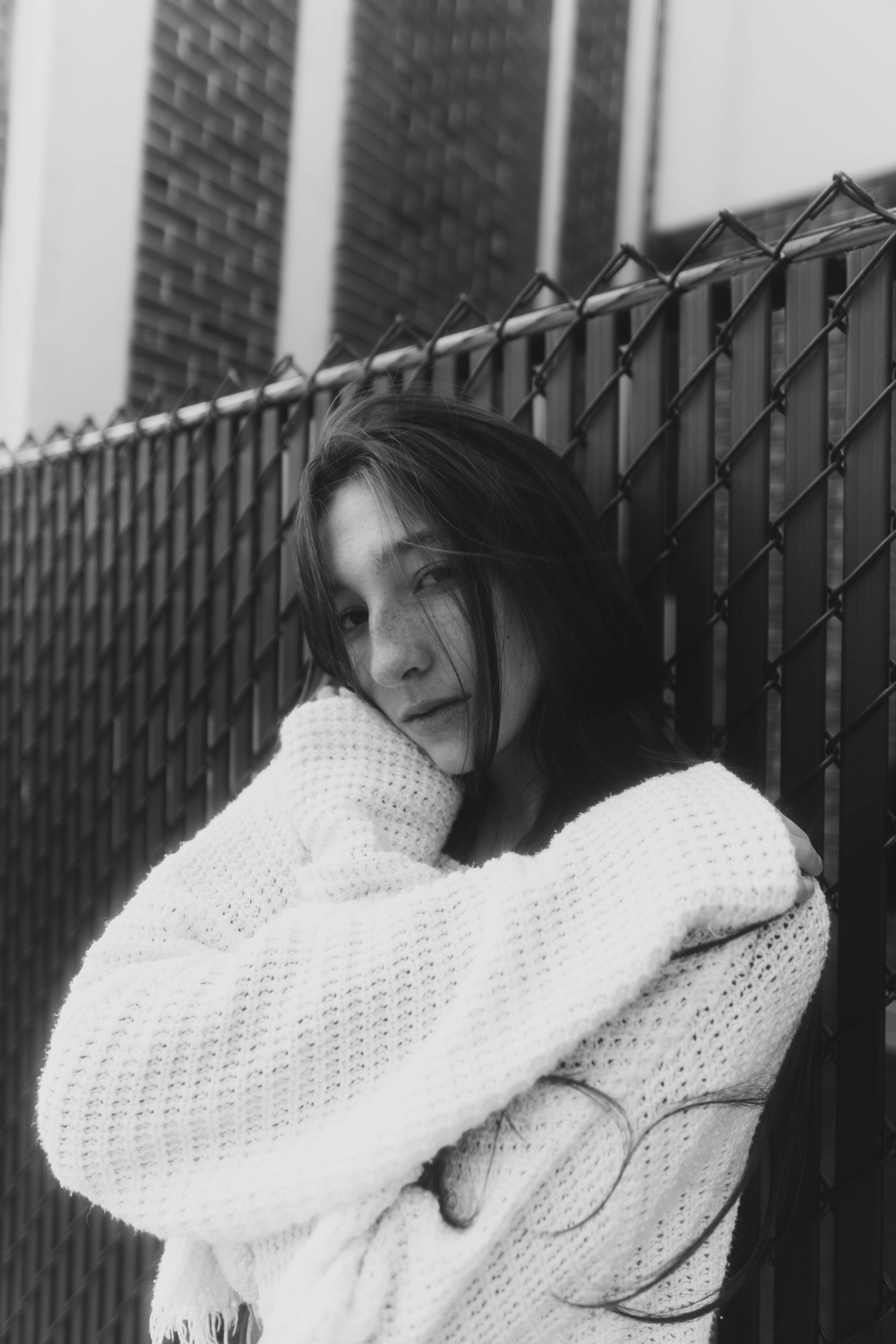 grátis Sem Título Foto profissional