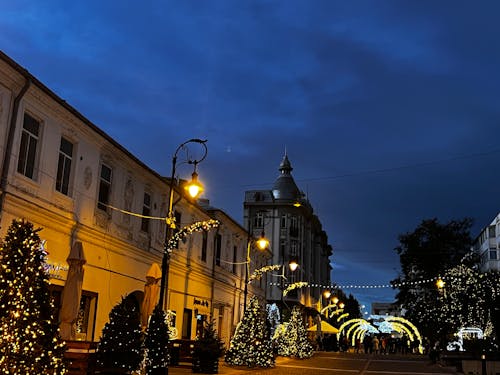Free stock photo of blue sky, christmas lights, lights