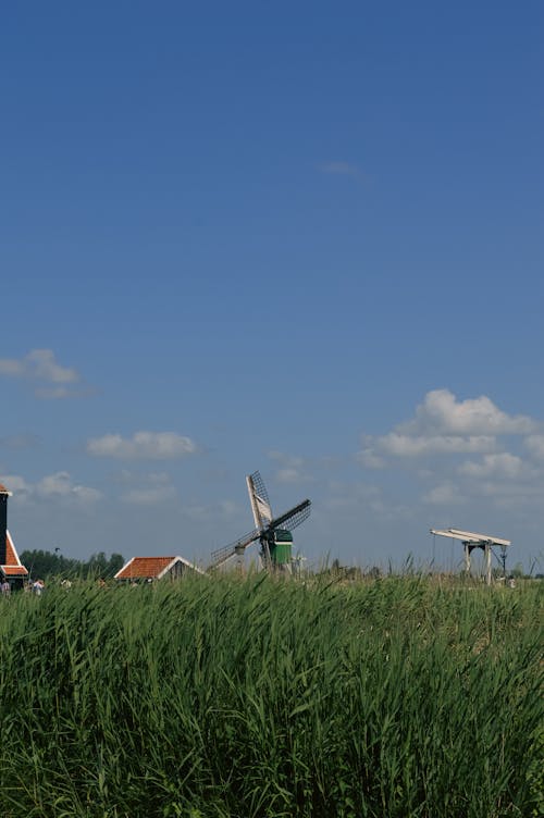 Windmill on a Field 